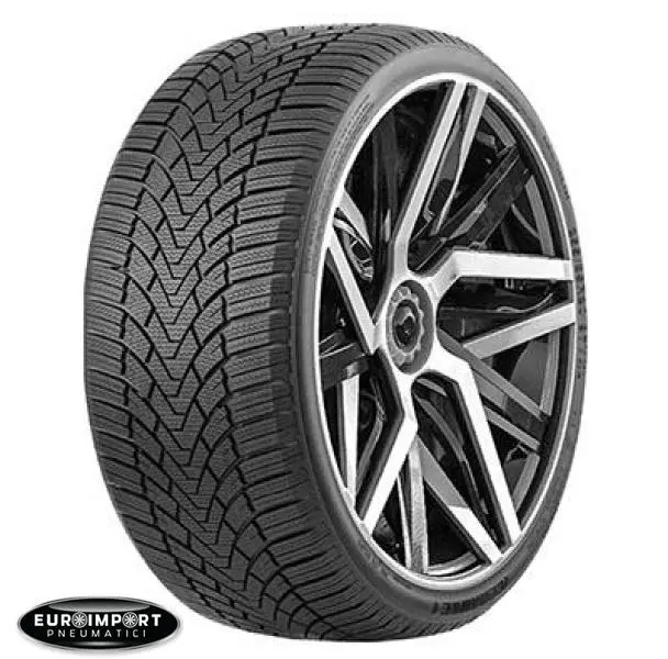 Fronway Icemaster 1  225/55 R19 99 H   TL